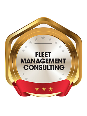 Fleet Management Consulting